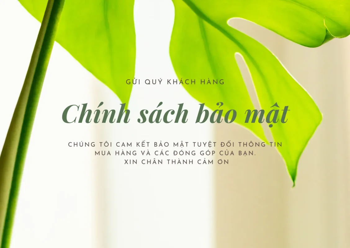 Chinh-sach-bao-mat.webp