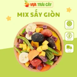 Trai-Cay-Say-Gion-Mix-500g-_-TCSGM-_-Vua-Trai-Cay.webp